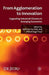 From Agglomeration to Innovation: Upgrading Industrial Clusters in Emerging Economies by A. Kuchiki