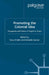 Promoting the Colonial Idea: Propaganda and Visions of Empire in France by T. Chafer