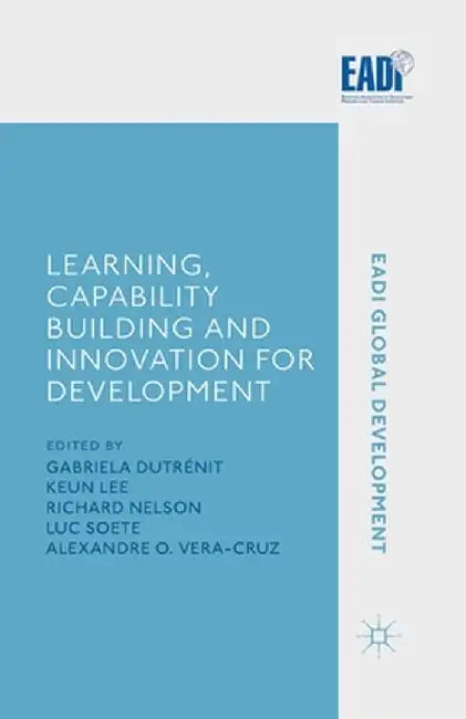 Learning, Capability Building and Innovation for Development by G. Dutrénit