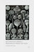 Metaphysics from a Biological Point of View by S. Boulter