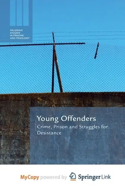 Young Offenders: Crime, Prison and Struggles for Desistance by M. Halsey