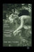 Queer Lyrics: Difficulty and Closure in American Poetry by J. Vincent