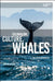 Colonialism, Culture, Whales: The Cetacean Quartet by Graham Huggan