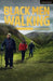 Black Men Walking by Testament