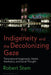 Indigeneity and the Decolonizing Gaze: Transnational Imaginaries, Media Aesthetics, and Social Thought by Robert Stam