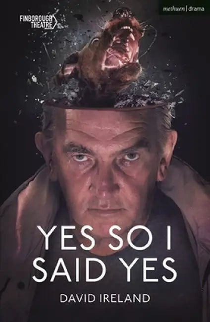 Yes So I Said Yes by David Ireland