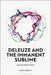 Deleuze and the Immanent Sublime: Idea and Individuation by Louis Schreel