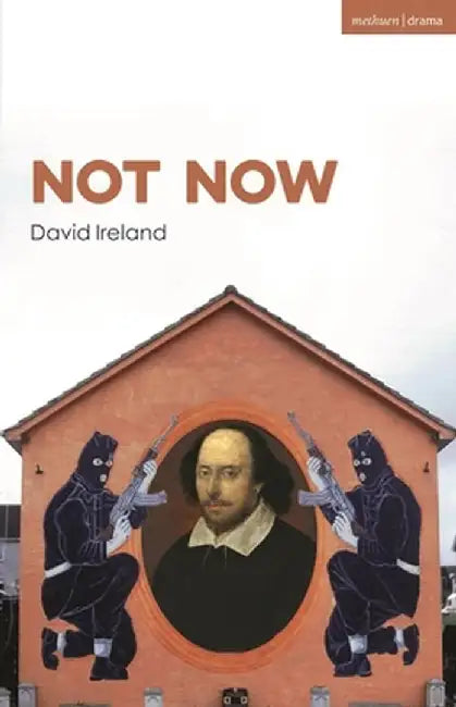 Not Now by David Ireland
