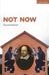 Not Now by David Ireland