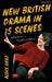 New British Drama in 15 Scenes: Adventures in Theatre Criticism by Aleks Sierz