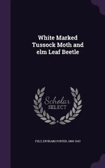 White Marked Tussock Moth and elm Leaf Beetle by Ephraim Porter Felt