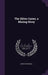 The Silver Caves, a Mining Story by Ernest Ingersoll