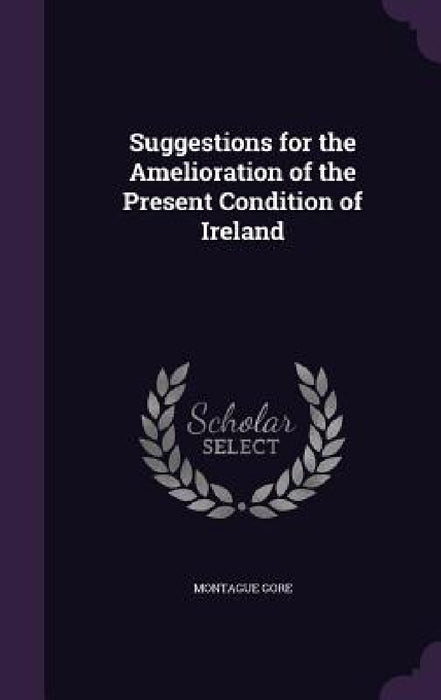 Suggestions for the Amelioration of the Present Condition of Ireland by Montague Gore