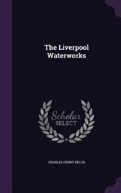 The Liverpool Waterworks by Charles Henry Beloe
