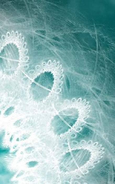 LETTERS To MYSELF JOURNAL - WHITE LACE ON TEAL METAL: a 42-page journal with exquisite artwork on every page. by Judy Powell
