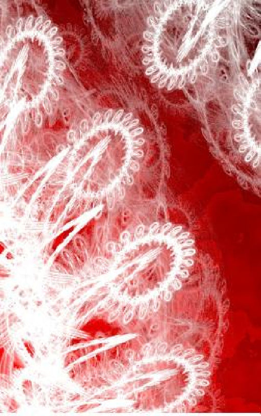 LETTERS TO MYSELF JOURNAL - White Lace on Red Metal: a 42-page journal with exquisite artwork on every page. by Judy Powell