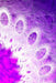 Letters to Myself Journal - White Lace on Purple Metal by Judy Powell