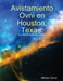 Avistamiento Ovni en Houston, Texas. by Alfonso Servin