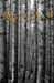 Rust and Moth: Autumn 2021 by Josiah Spence