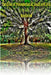 The Tree of Knowledge of Good and Evil Revealed by Michael Dale