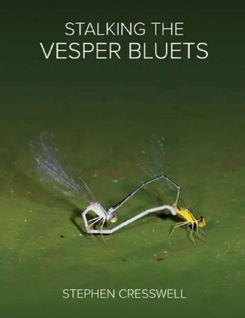 Stalking the Vesper Bluets by Stephen Cresswell