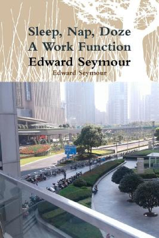 Sleep, Nap, Doze, A Work Function by Edward Seymour