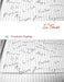 InTense by Complicated Simplicity