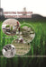 Agricultural Transformation in India Since Independence by Adinath D. Gade