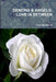 Demons & Angels: Love in Between by Gary Smallwood