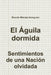 El Águila dormida by Ricardo Méndez Aranguren