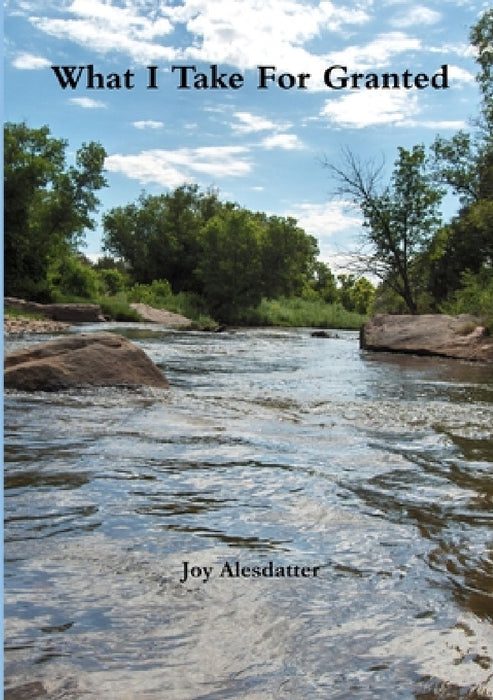 What I Take For Granted by Joy Alesdatter