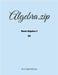 Algebra.zip: Basic Algebra I (2A) by Li, Haimo
