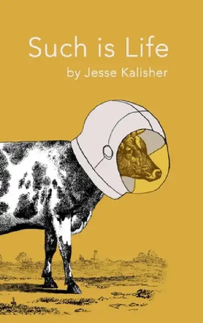 Such is Life by Jesse Kalisher