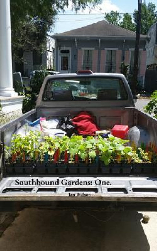 Southbound Gardens: One: Food growing know how for the Urban South by Ian Willson