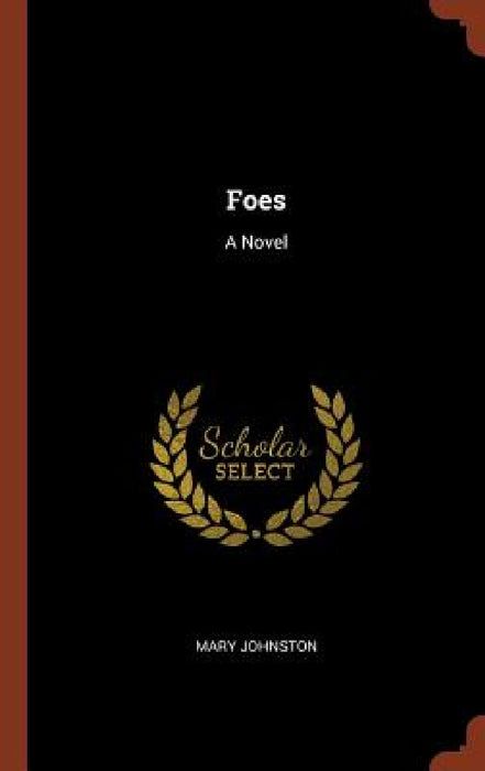 Foes by Mary Johnston