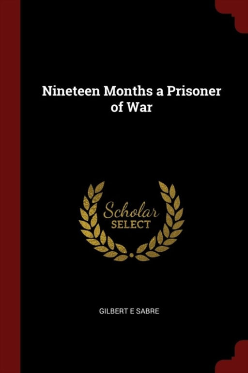 Nineteen Months a Prisoner of War by Sabre, Gilbert E.