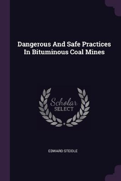 Dangerous And Safe Practices In Bituminous Coal Mines by Edward Steidle