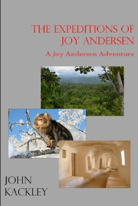 The Expeditions of Joy Andersen by John Kackley
