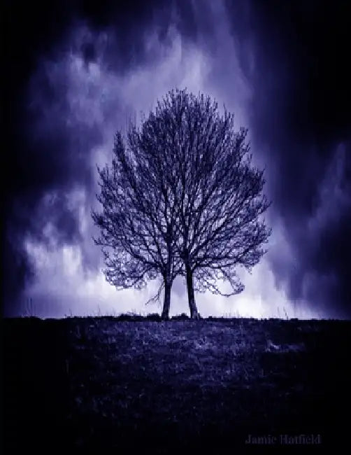 What I learned by Dying by Jamie Hatfield