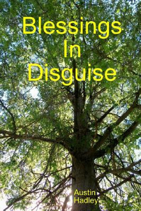 Blessings In Disguise by Austin Hadley