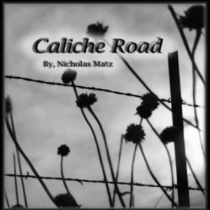 Caliche Road by Nicholas Matz