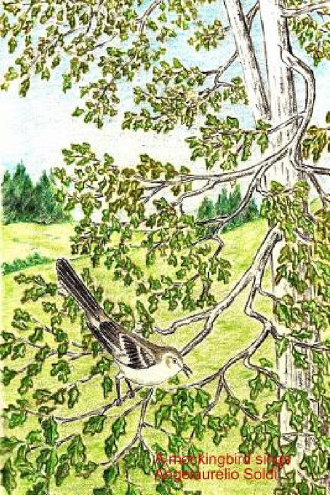A mockingbird sings by Angelaurelio Soldi