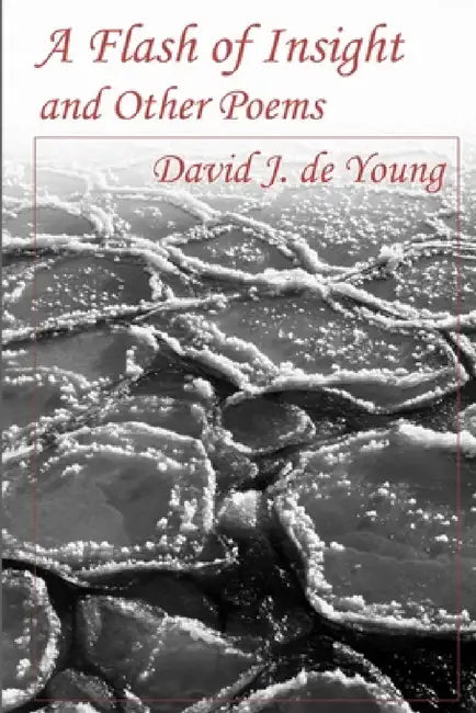 A Flash of Insight and Other Poems by David J. de Young