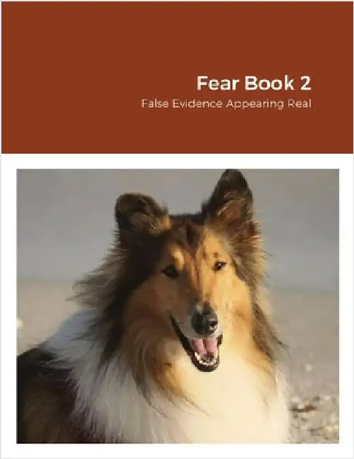 Fear Book 2: False Evidence Appearing Real by McPhearson, Danise