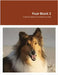 Fear Book 2: False Evidence Appearing Real by McPhearson, Danise