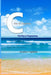 C-Sea of Programs: First Step to Programming by Jayashree Agarkhed