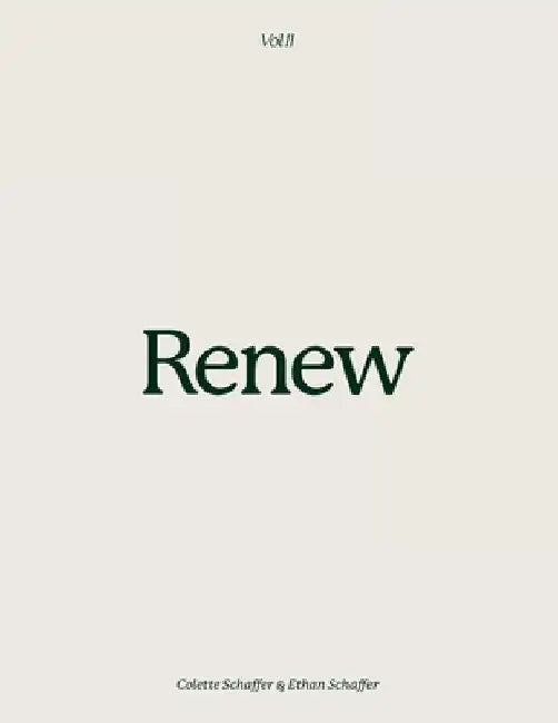 Renew - Volume 2: 365 verses and confessions by Colette Schaffer