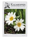 Kalmiopsis Volume 24 by Cindy Roche