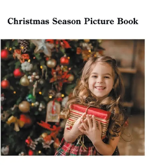 Christmas Season Picture Book by David Sechovicz