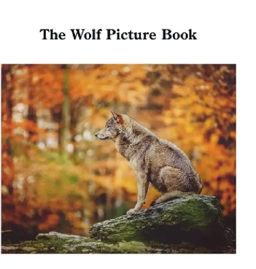 The Wolf Picture Book by David Sechovicz